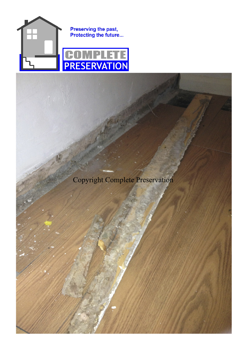 DRY ROT 11