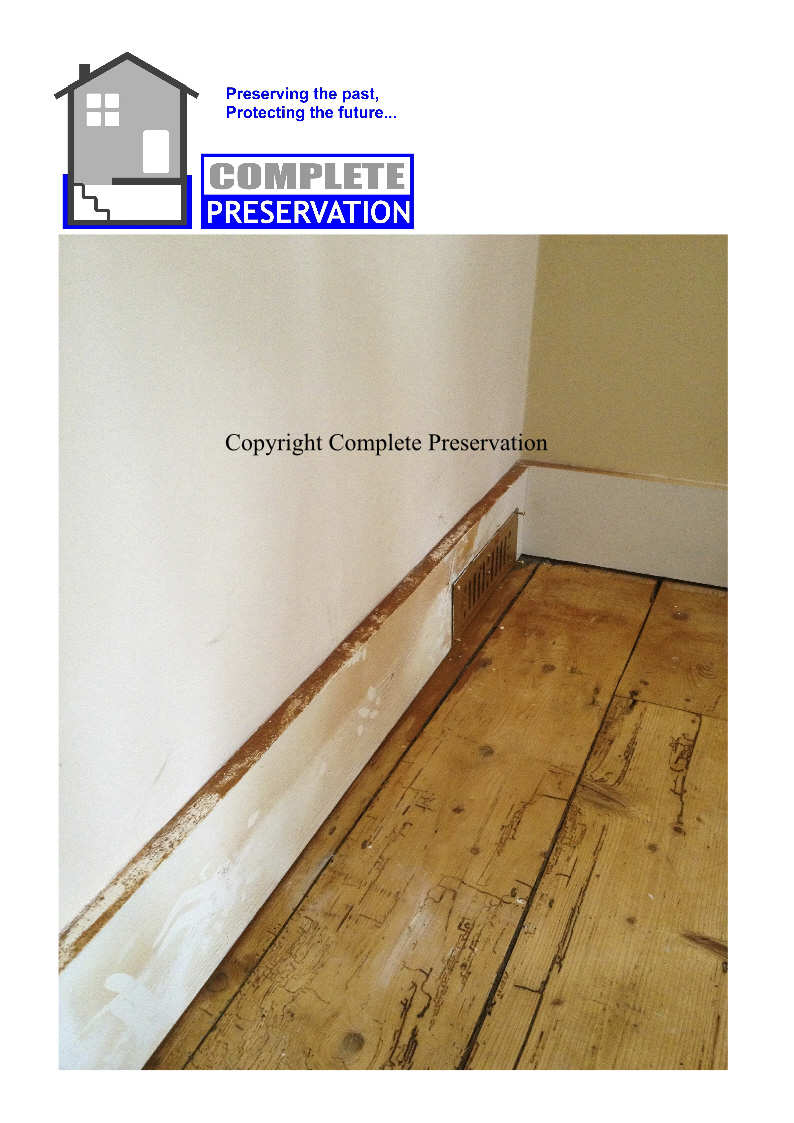 DRY ROT 13