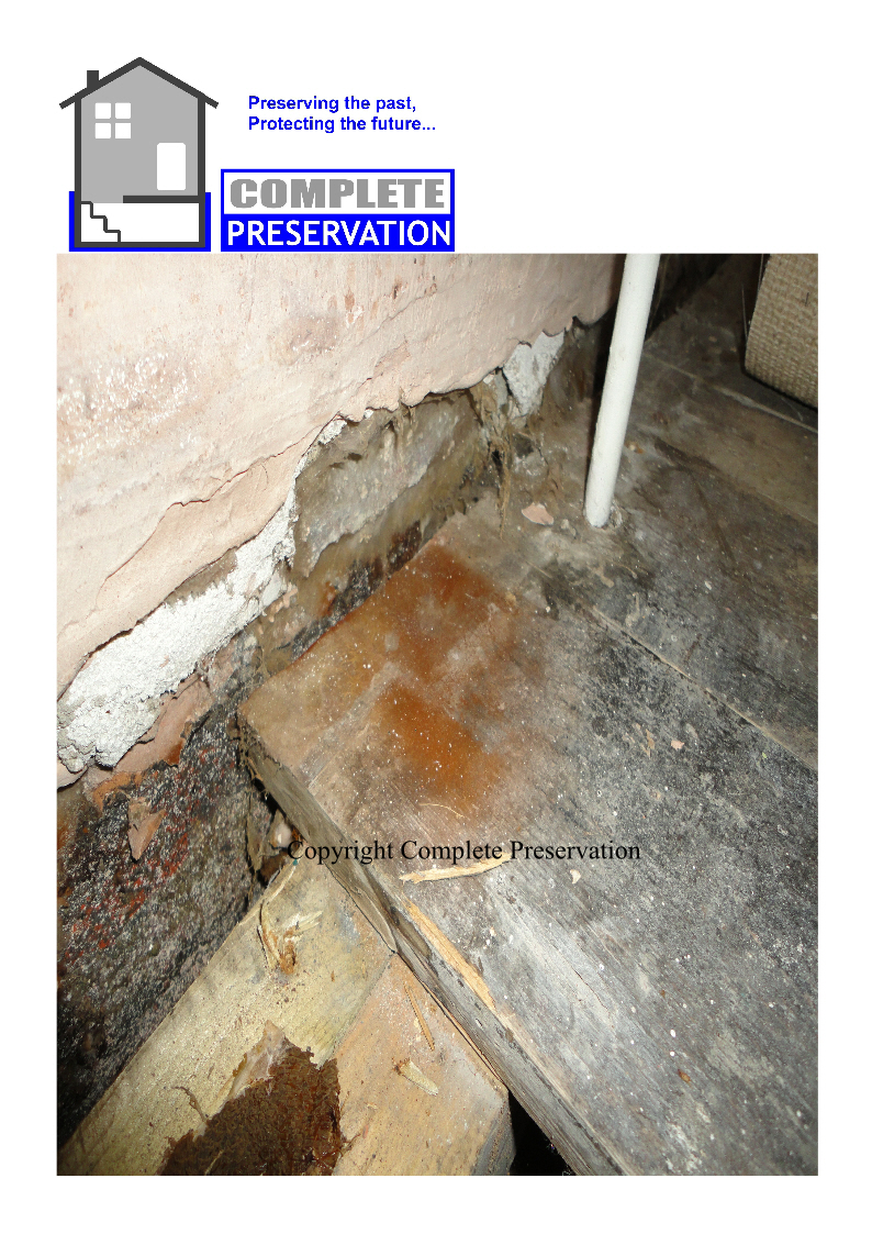 DRY ROT 6