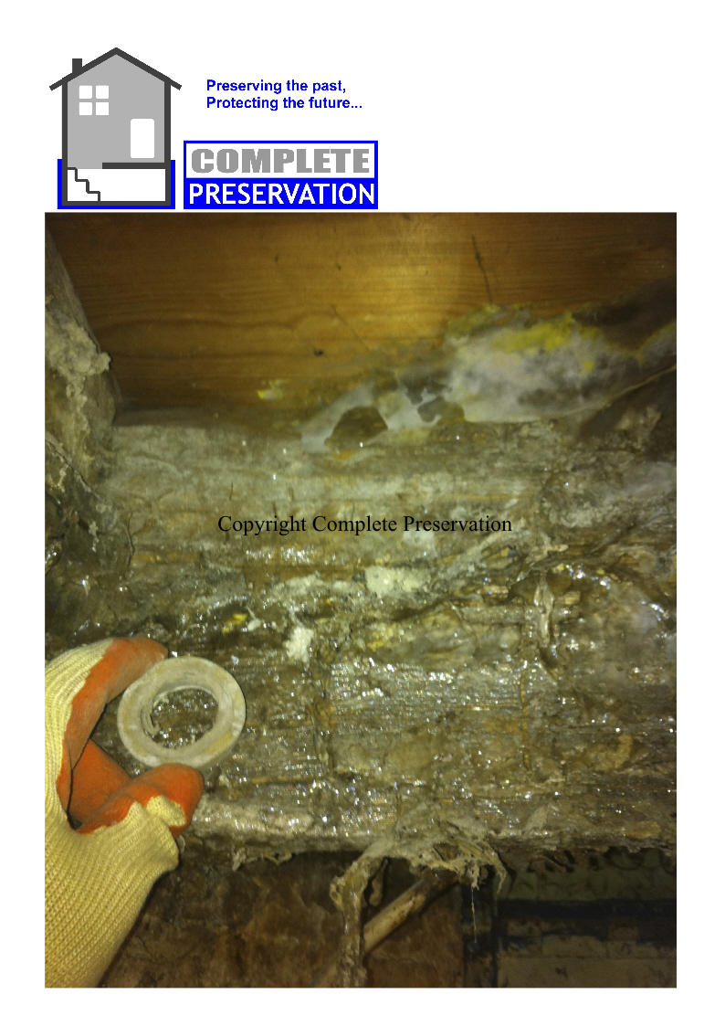 DRY ROT 8