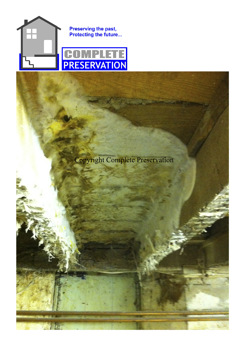 DRYROT 5