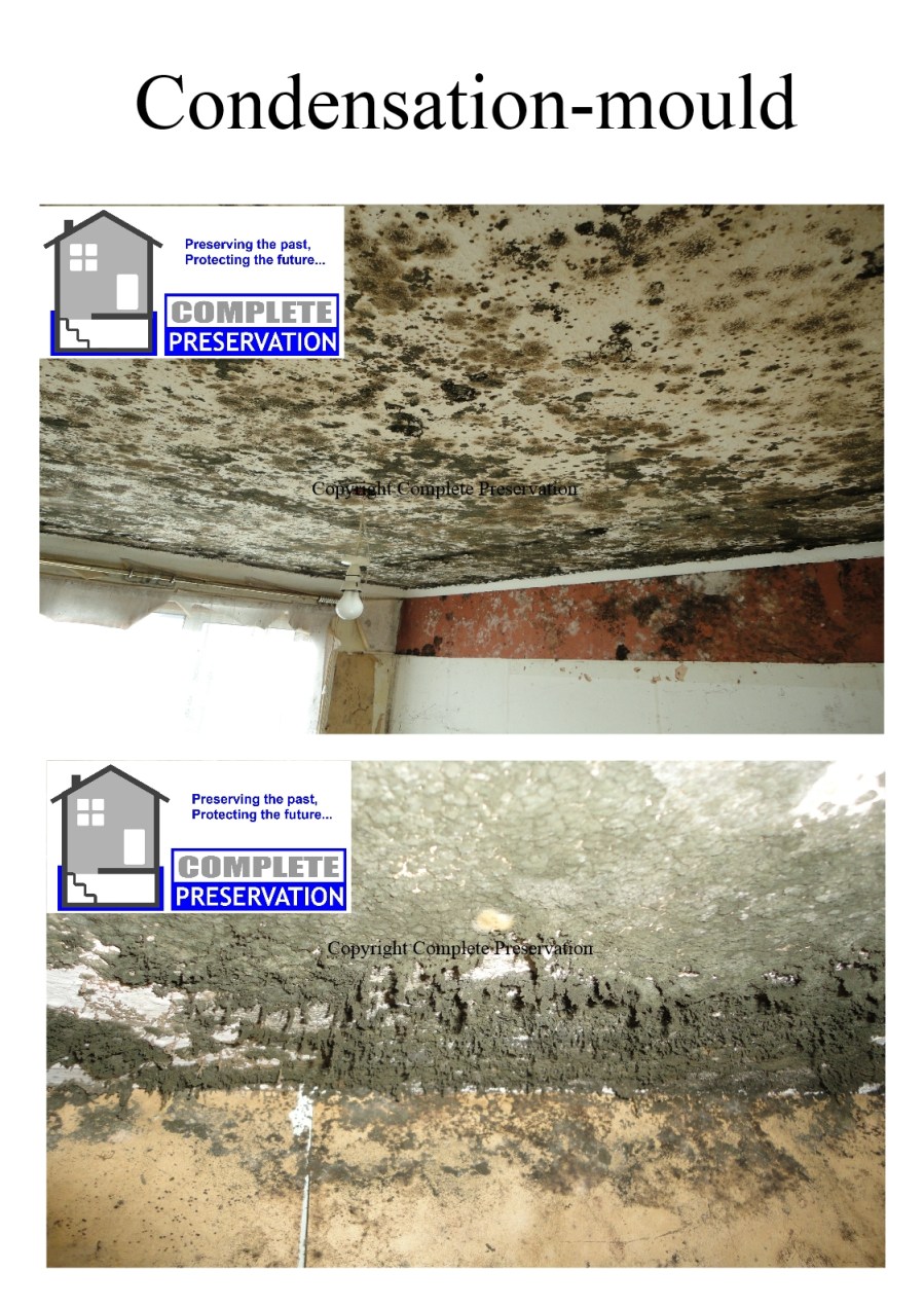 CONDENSATION AND MOULD JPEG
