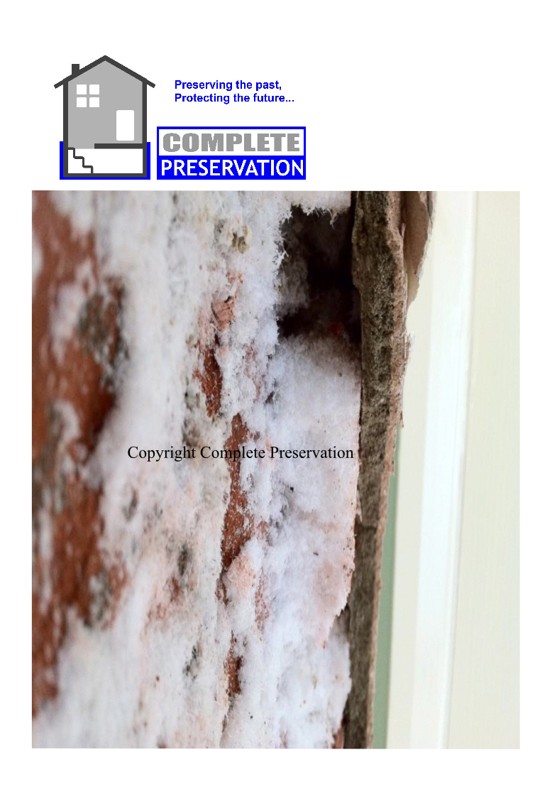 SALTS IN PLASTER