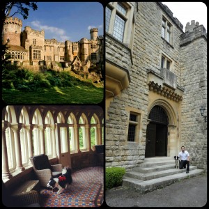 Dry rot and damp survey of Devizes Castle&nbsp;Wiltshire