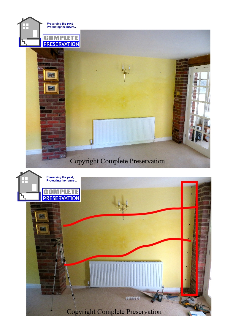 RICS RISING DAMP AND PROFILE
