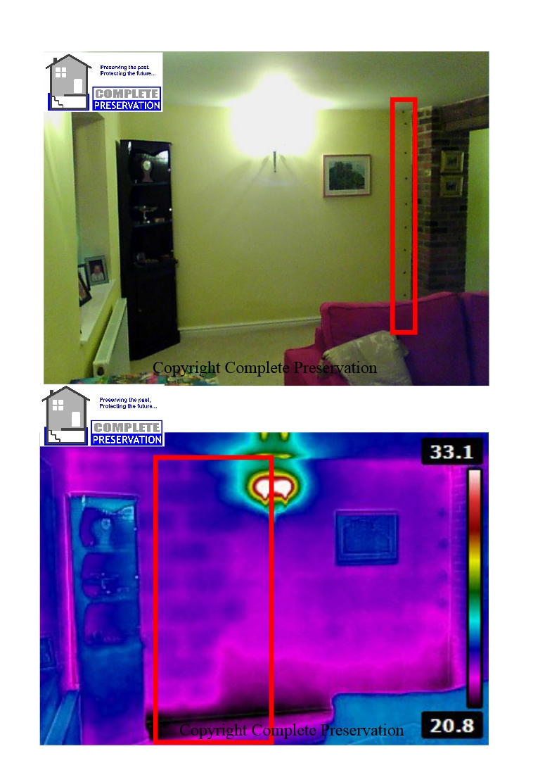 RICS THERMALIMAGING PICTURE