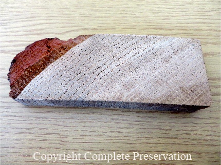 JOE BISPHAM TIMBER SAMPLE