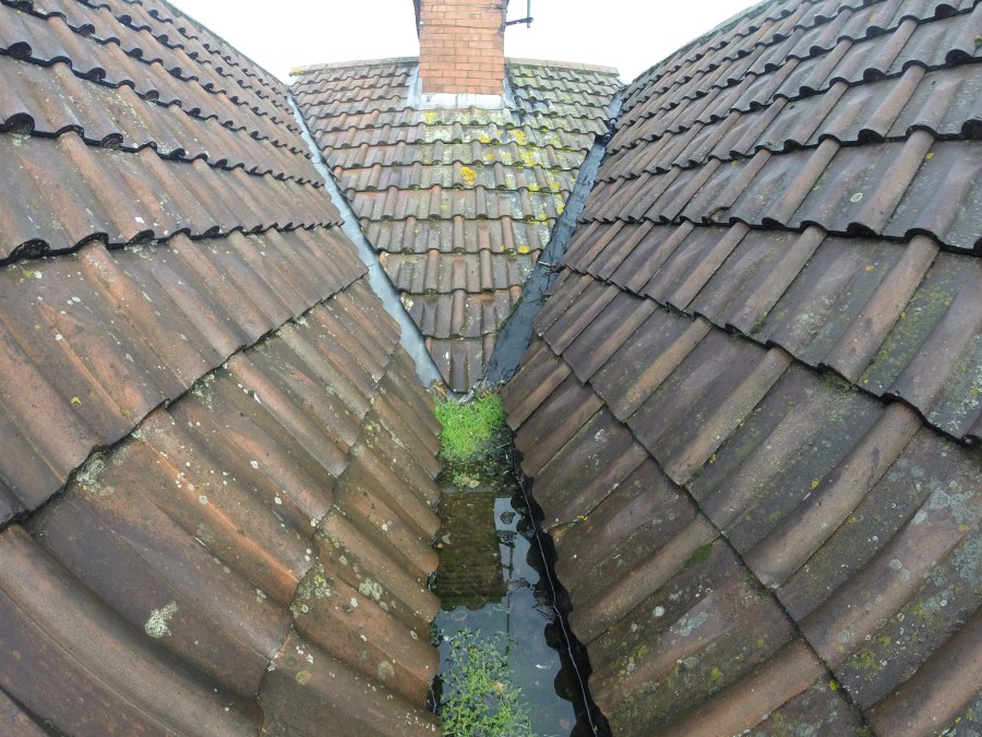 Just a close up of a chimney, investigating dampness issues