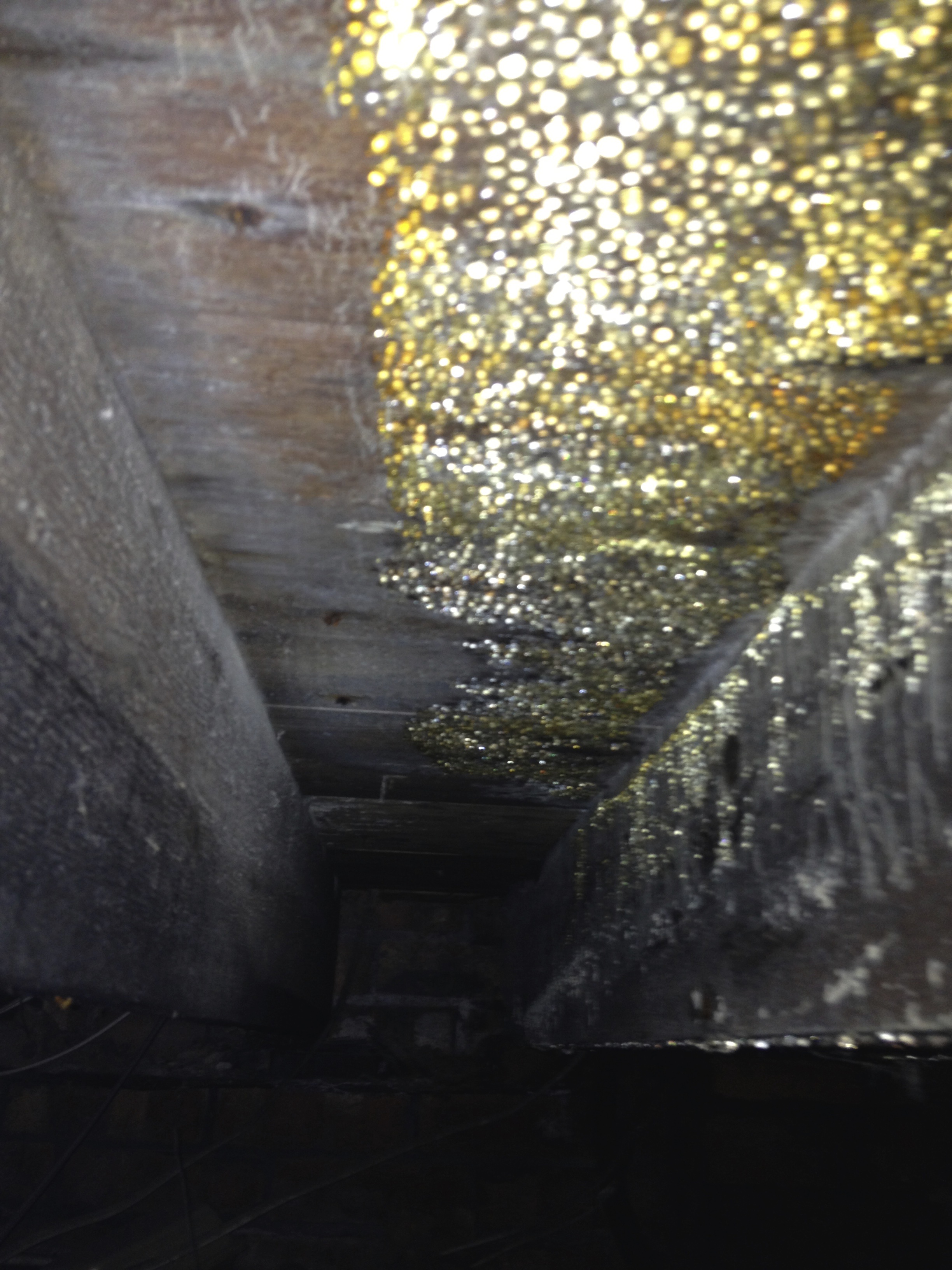 wet rot in a suspended timber floor