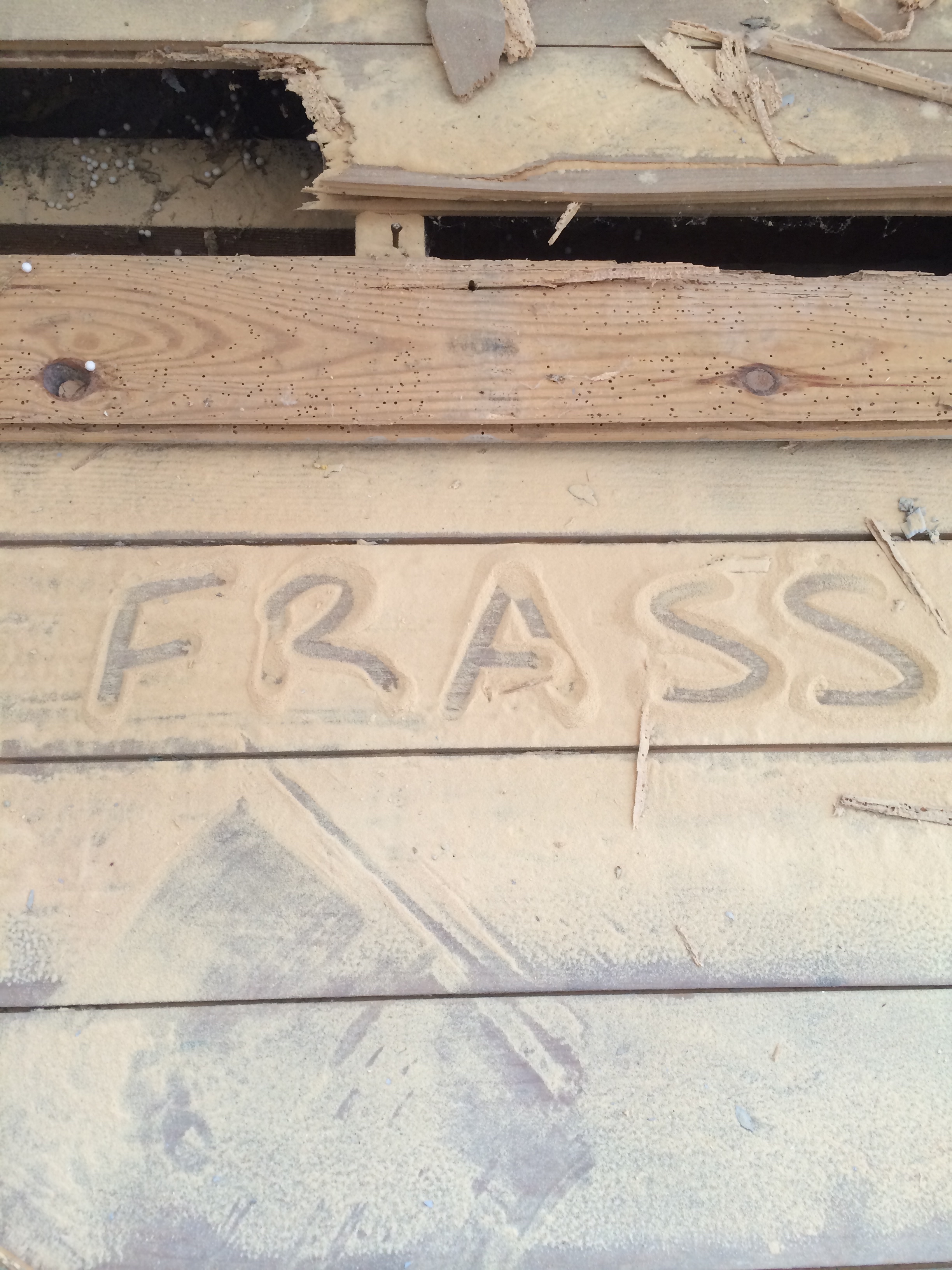 active woodworm frass