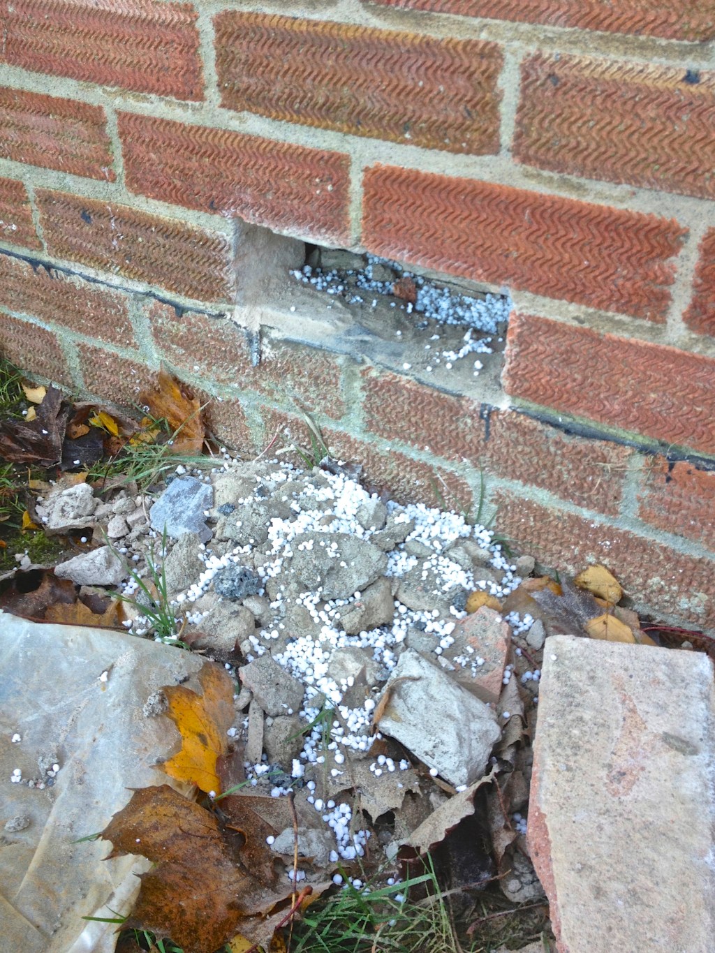 Suspected rising damp on a cavity&nbsp;wall