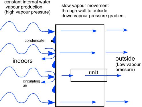 vapour